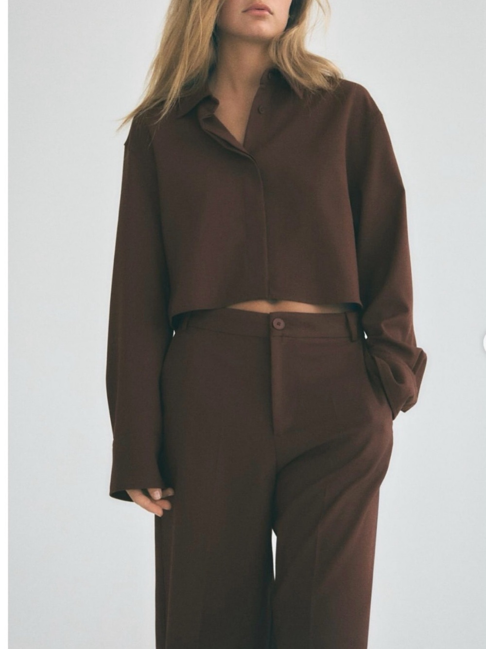 Zara Chocolate Brown Cropped Button-Up Blouse | Hidden Buttons | Size L